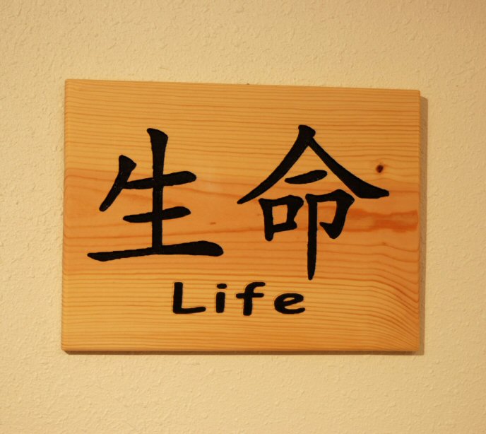 Chinese symbol for Life